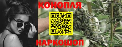 дмт Пенза